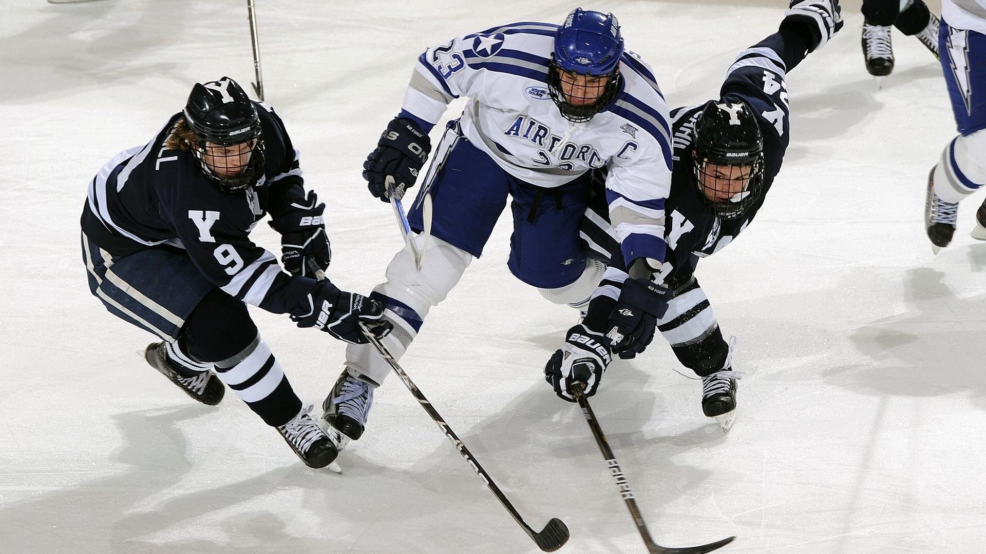 本赛季MVP最大热门